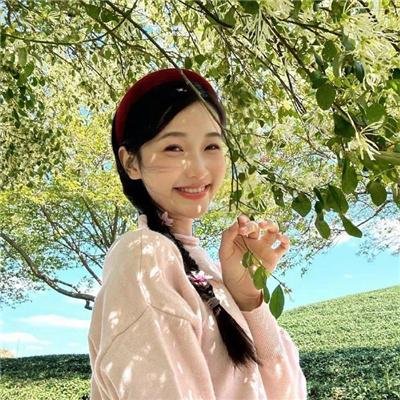 黄梅戏宗师传奇 海报